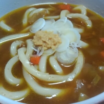 カレーうどんは二日目のカレーで作ると簡単で美味しいですね(^^)
生姜も合いますね♪
ご馳走さまでした☆